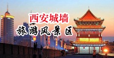 啊操逼中国陕西-西安城墙旅游风景区